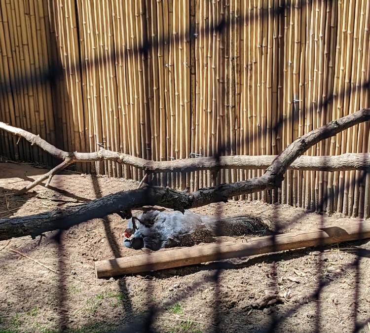 dakota-zoo-photo